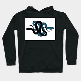 Black and blue snakes Hoodie